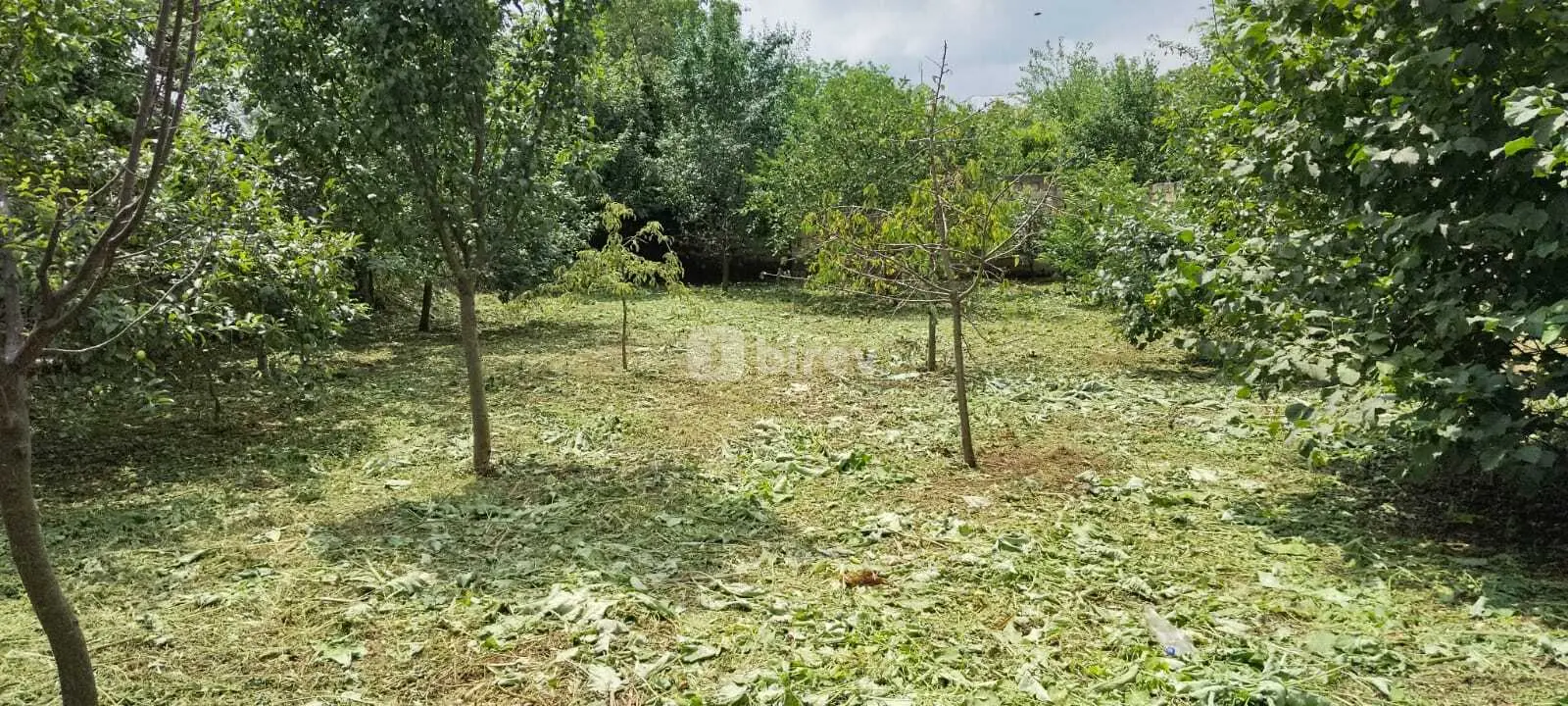 3.7 sot torpaq, Quba rayonu, Səməd Vurğun küç. — şəkil 1
