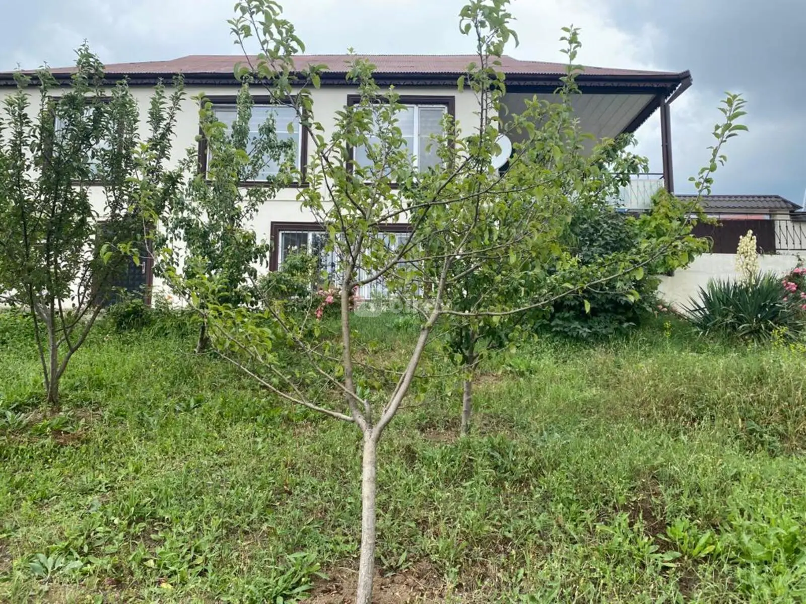 4 otaqlı həyət evi, Çuxuryurd, Çuxuryurd kəndi, Şamaxı rayonu — şəkil 1