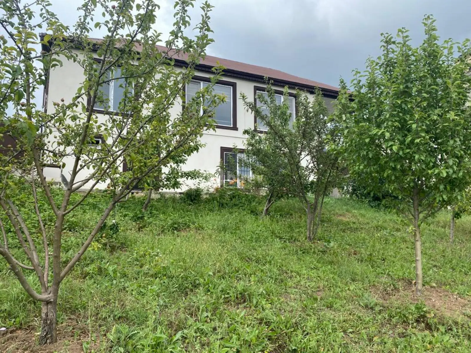 4 otaqlı həyət evi, Çuxuryurd, Çuxuryurd kəndi, Şamaxı rayonu — şəkil 5