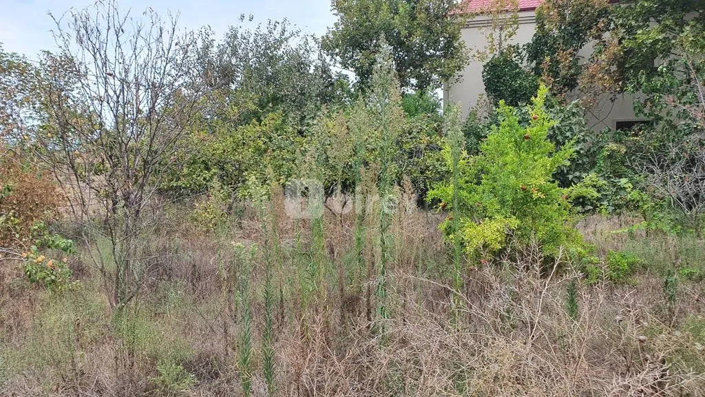 12 sot torpaq, Badamdar q., Badamdar qəsəbəsi 2 yaşayış massivi, Səbail rayonu — şəkil 17