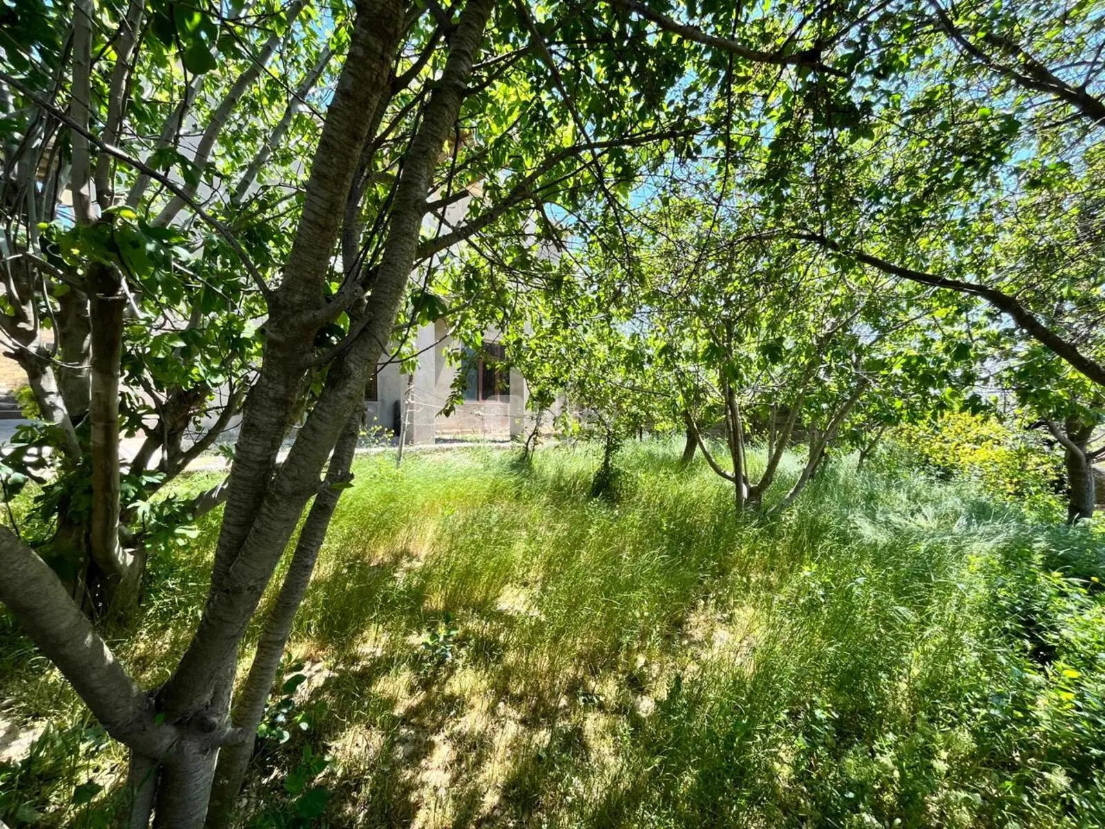 6 otaqlı həyət evi, Fatmayı q., Fatmayı qəs., Abşeron rayonu — şəkil 25