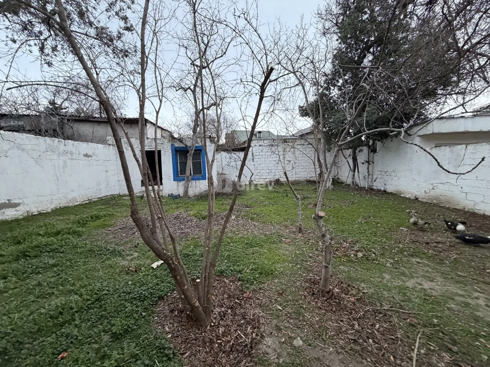 6 sot torpaq, Bakıxanov q., Akim Abbasov küçəsi, Sabunçu rayonu — şəkil 3