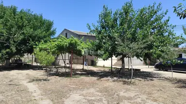 9 sot torpaq, Buzovna q.