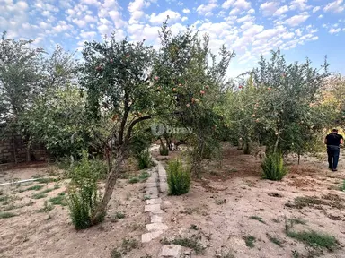 3 sot torpaq, Novxanı q.