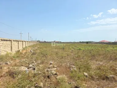 115 sot torpaq, Türkan q.