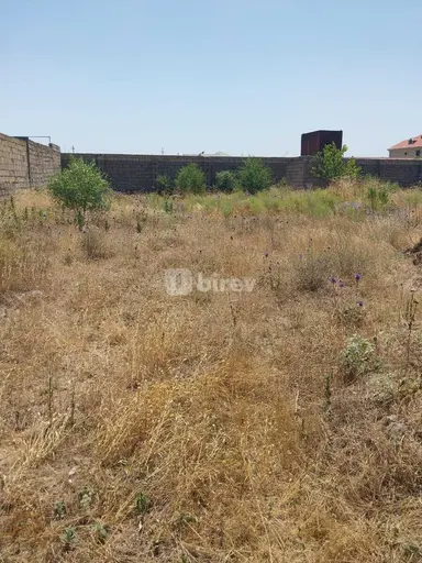 8 sot torpaq, Albalılıq q.