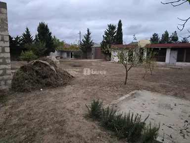 6 sot torpaq, Albalılıq q.