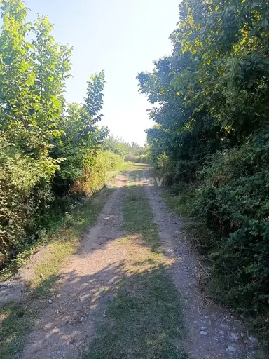 181 sot torpaq, Göyçay rayonu, Göyçay r.