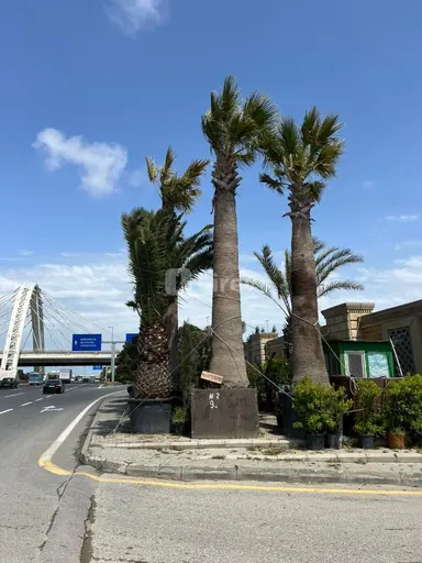 4 otaqlı həyət evi, Binə q.