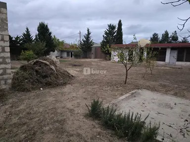 6 sot torpaq, Albalılıq q.