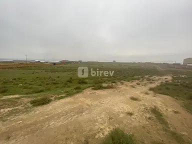 366 sot torpaq, Məmmədli q.