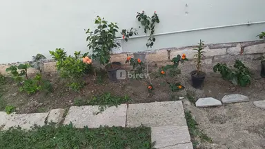 3 otaqlı həyət evi, Masazır q.