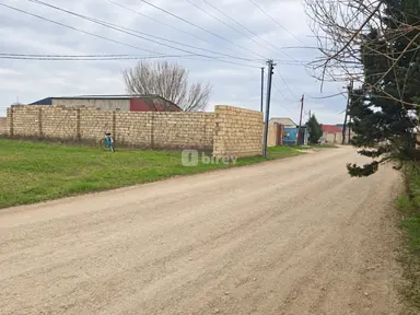 6 sot torpaq, Zabrat q.