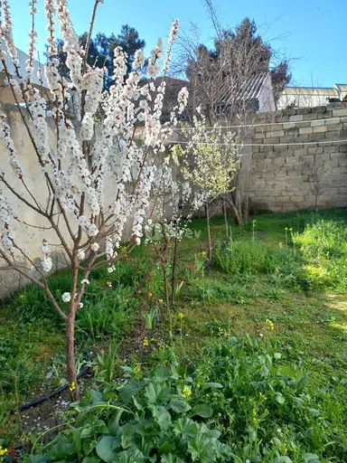 2 otaqlı həyət evi, Binəqədi rayonu, Avtovağzal m.