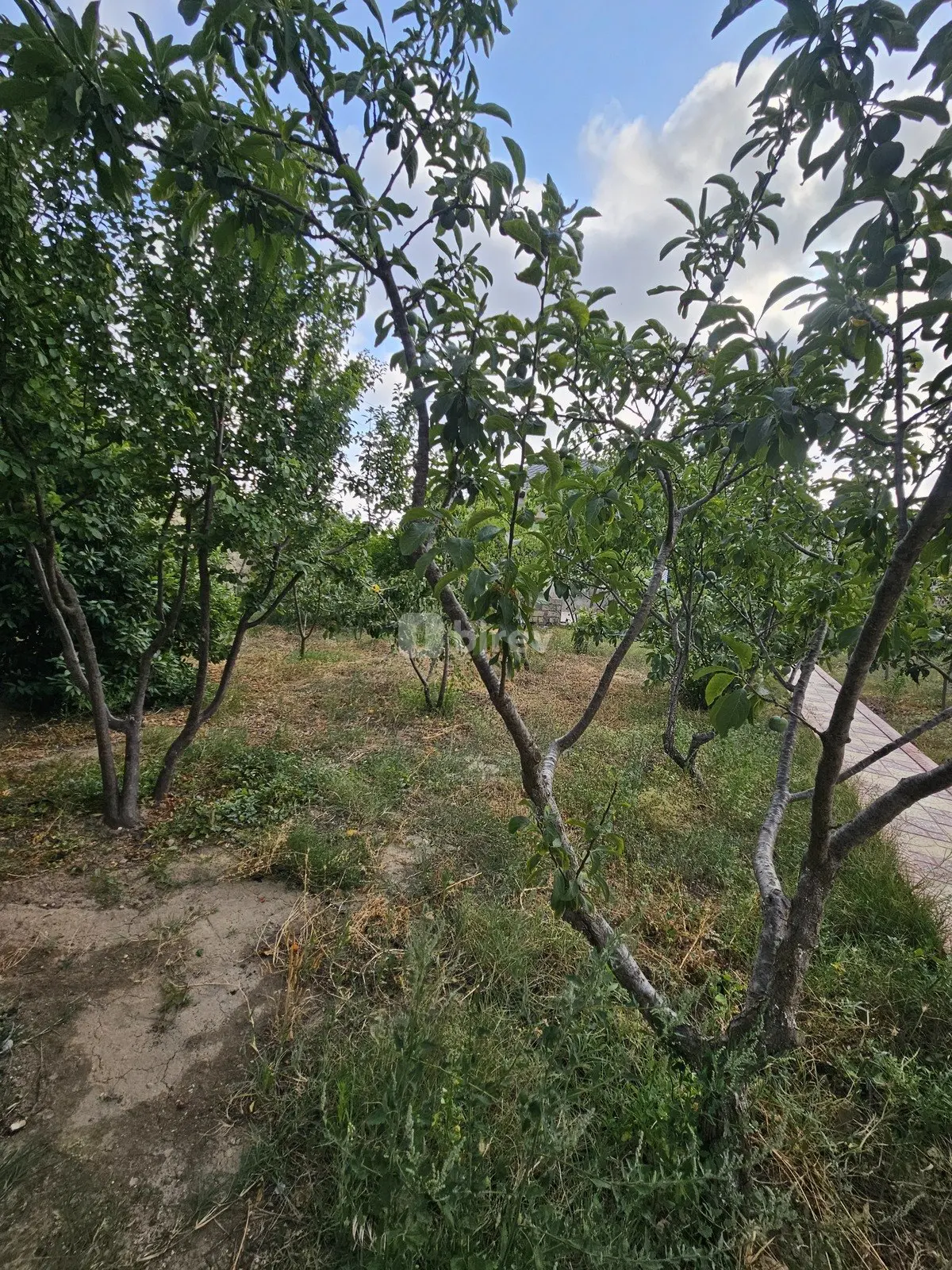 4 otaqlı həyət evi, Mərdəkan q., Mərdəkan qəs., Xəzər rayonu — şəkil 6