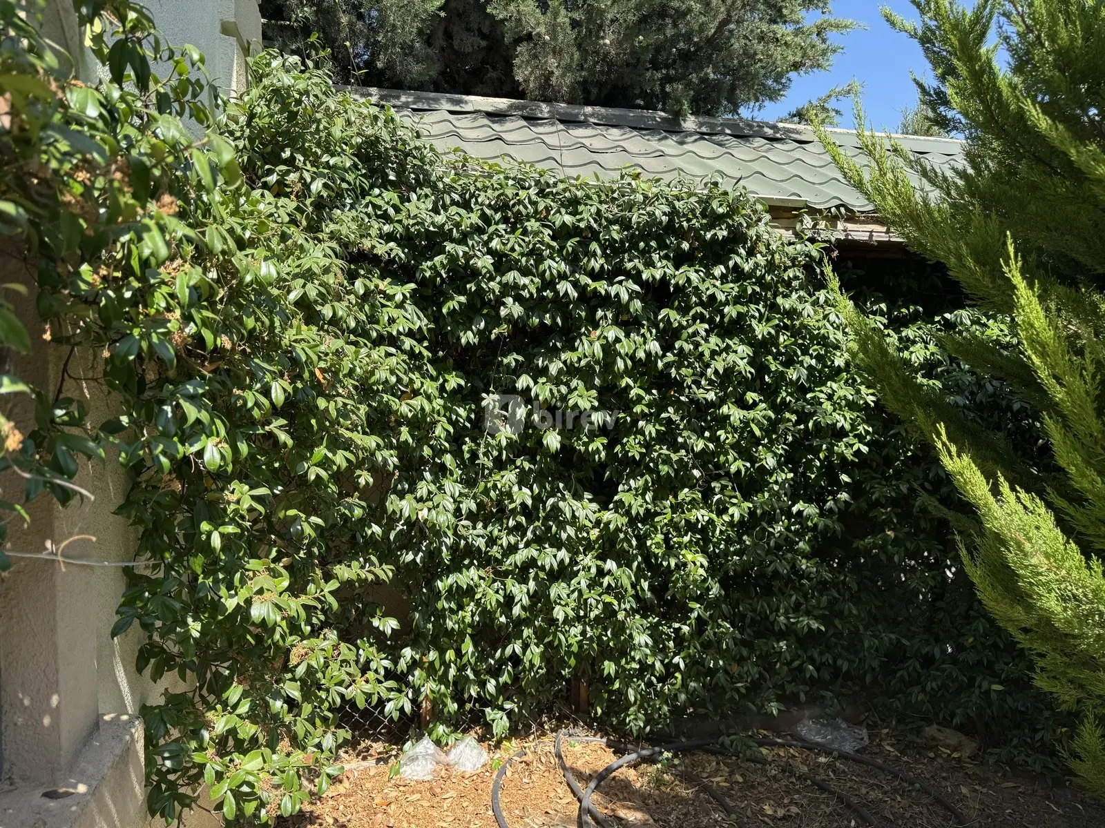 5 otaqlı həyət evi, Mərdəkan q., Mərdəkan qəsəbəsi, Xəzər rayonu — şəkil 9