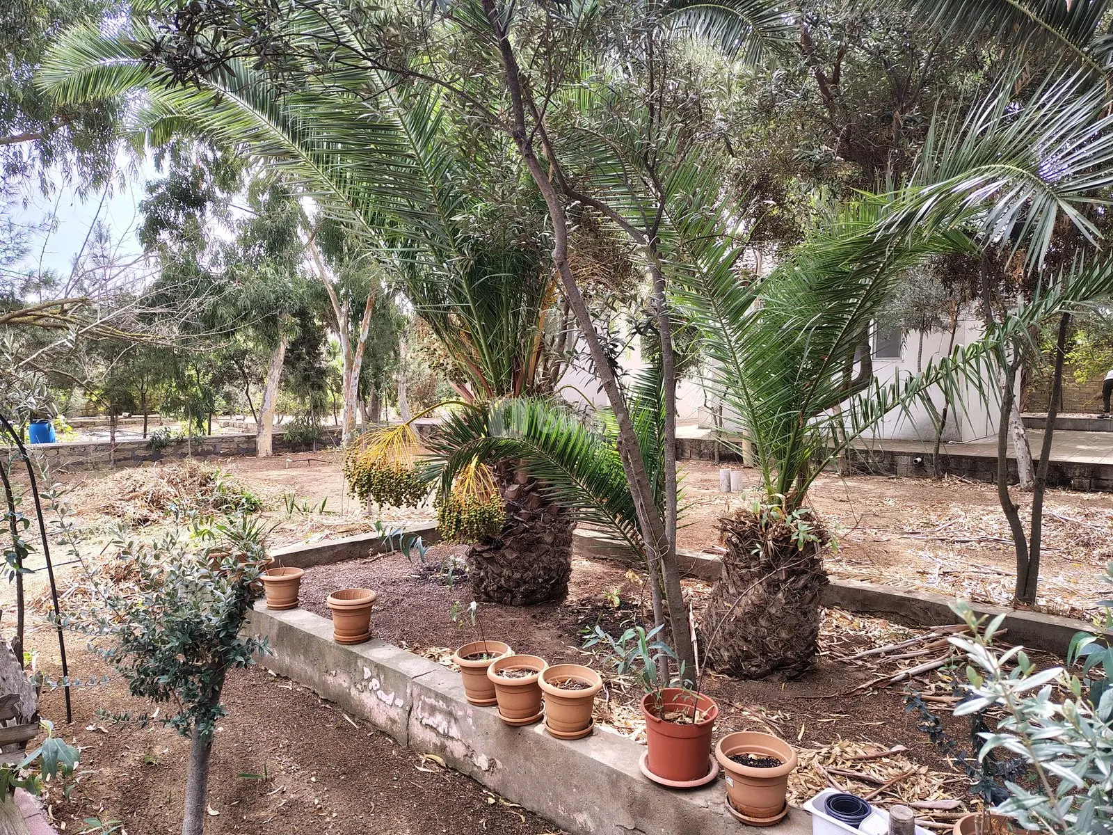 7 otaqlı həyət evi, Nardaran q., M. Dilbazi 1134, Sabunçu rayonu — şəkil 2