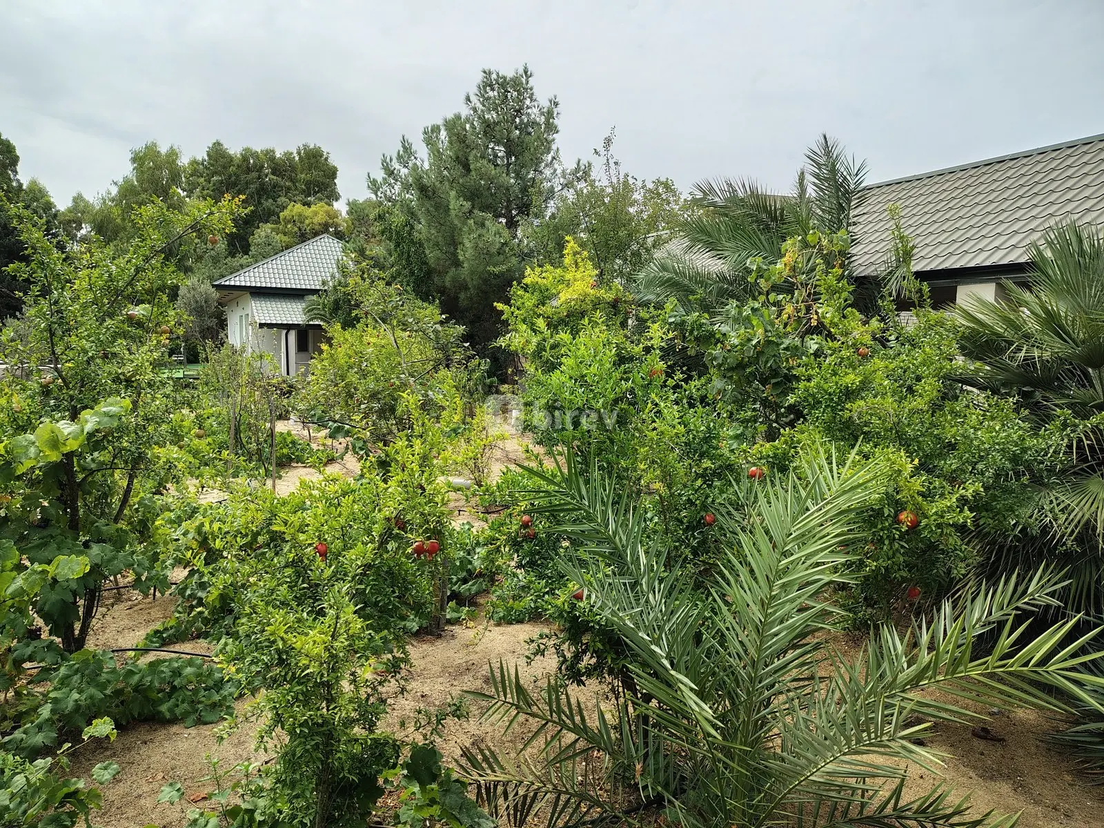 7 otaqlı həyət evi, Nardaran q., M. Dilbazi 1134, Sabunçu rayonu — şəkil 4