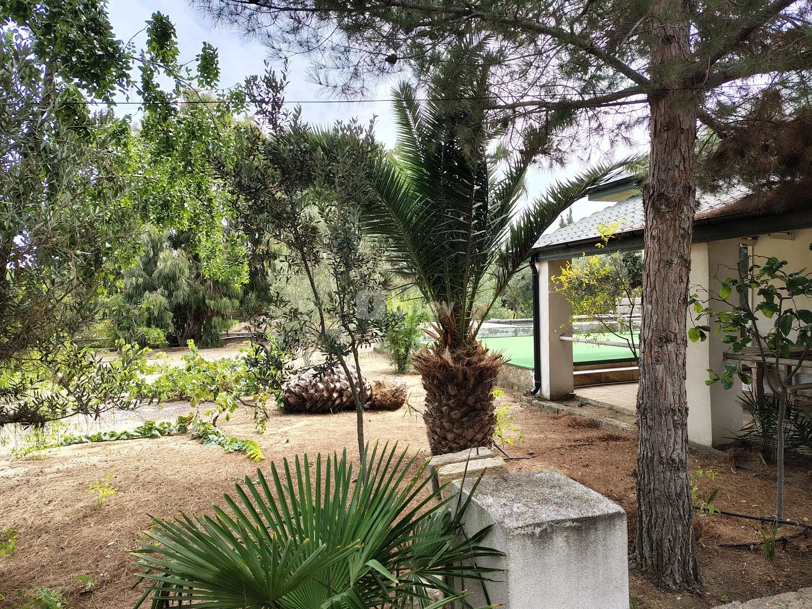 7 otaqlı həyət evi, Nardaran q., M. Dilbazi 1134, Sabunçu rayonu — şəkil 5