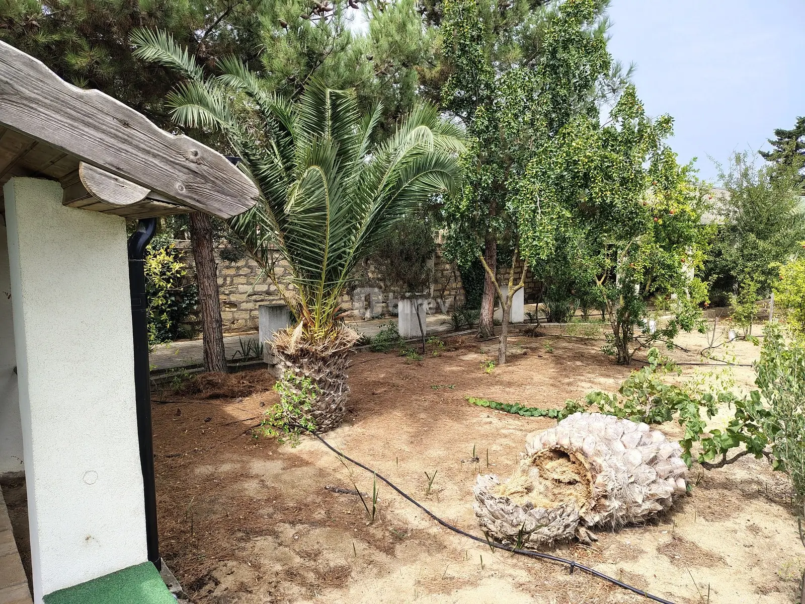 7 otaqlı həyət evi, Nardaran q., M. Dilbazi 1134, Sabunçu rayonu — şəkil 6