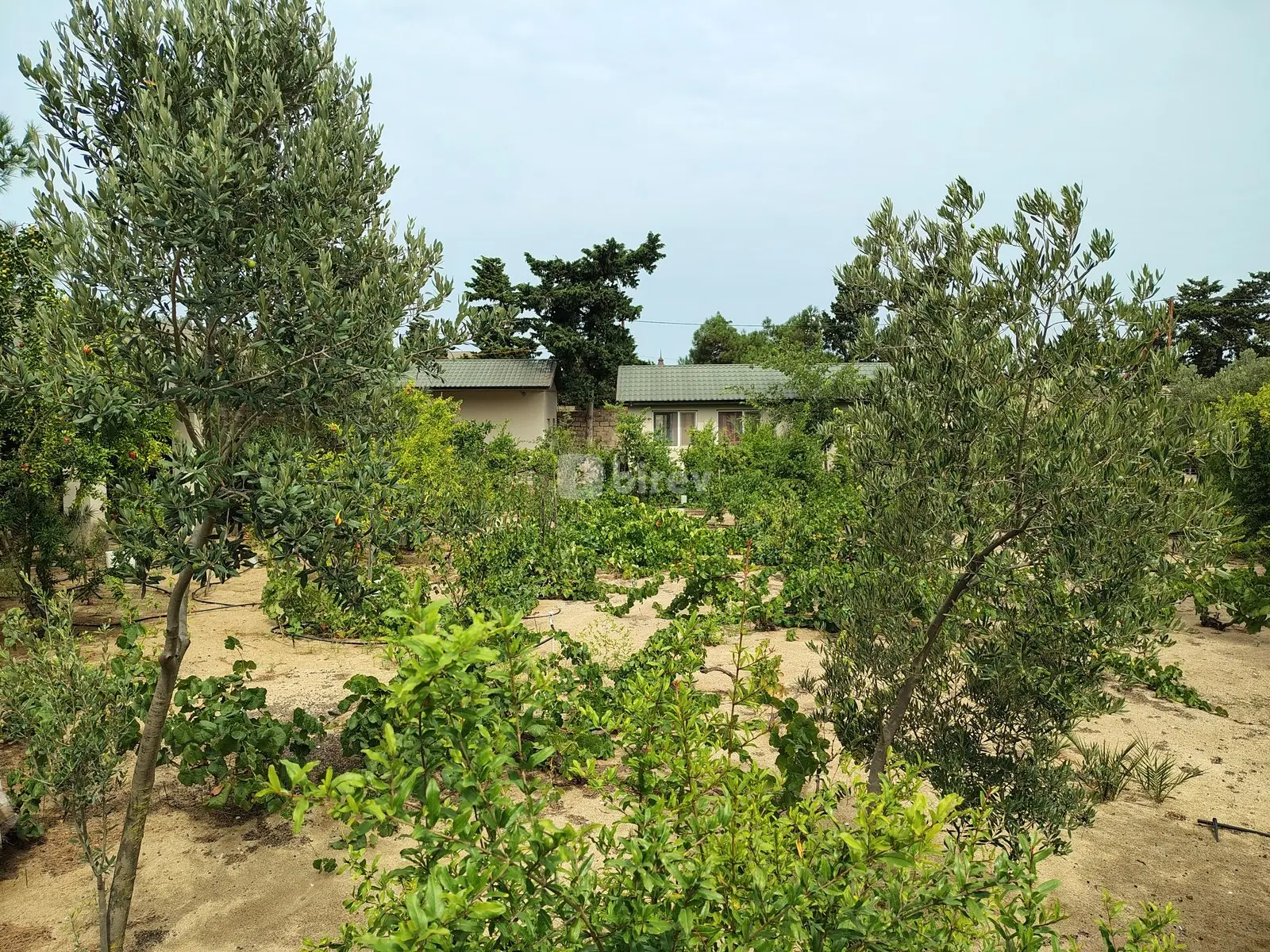 7 otaqlı həyət evi, Nardaran q., M. Dilbazi 1134, Sabunçu rayonu — şəkil 7
