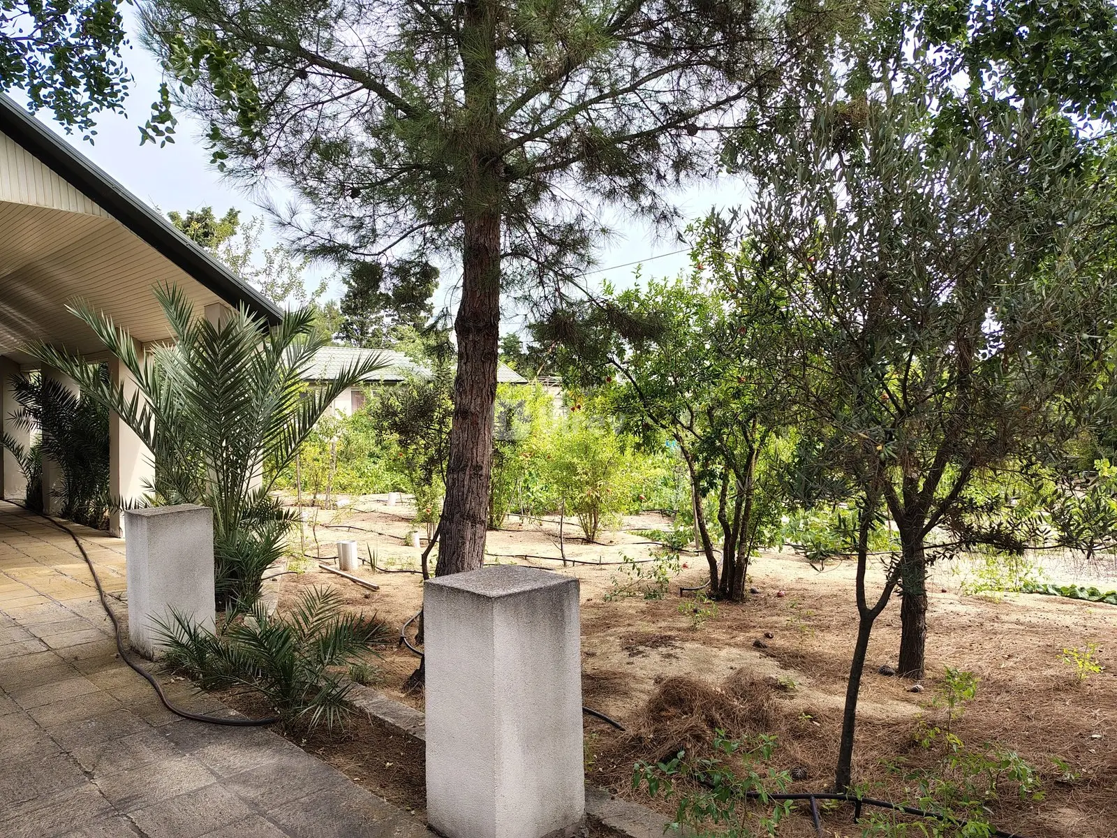 7 otaqlı həyət evi, Nardaran q., M. Dilbazi 1134, Sabunçu rayonu — şəkil 9