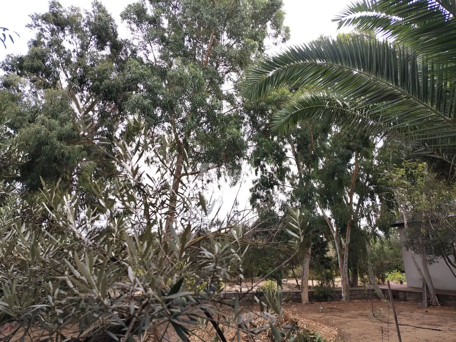 7 otaqlı həyət evi, Nardaran q., M. Dilbazi 1134, Sabunçu rayonu — şəkil 17