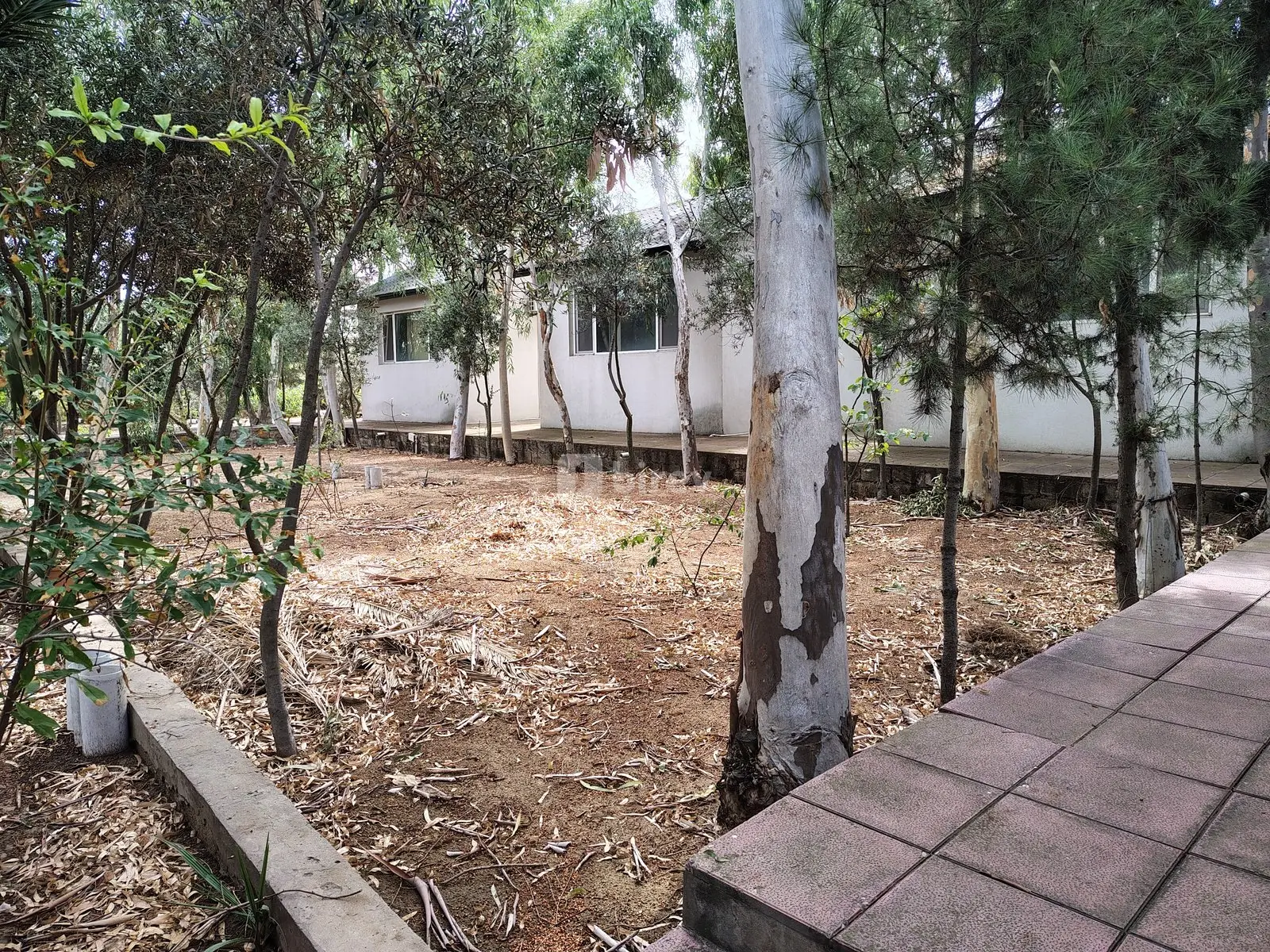 7 otaqlı həyət evi, Nardaran q., M. Dilbazi 1134, Sabunçu rayonu — şəkil 18