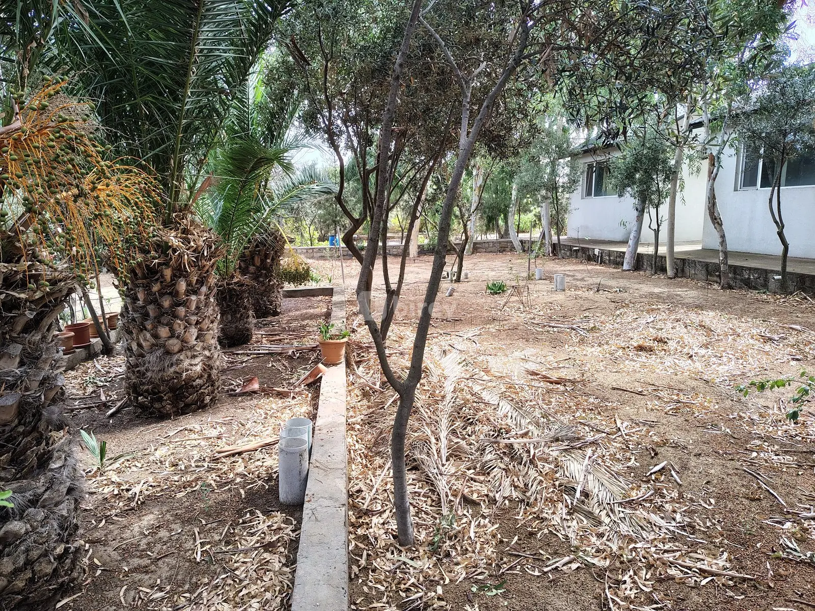 7 otaqlı həyət evi, Nardaran q., M. Dilbazi 1134, Sabunçu rayonu — şəkil 19