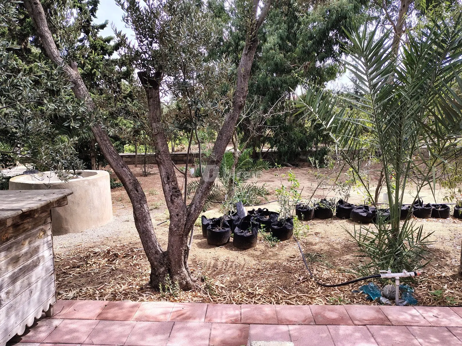 7 otaqlı həyət evi, Nardaran q., M. Dilbazi 1134, Sabunçu rayonu — şəkil 23