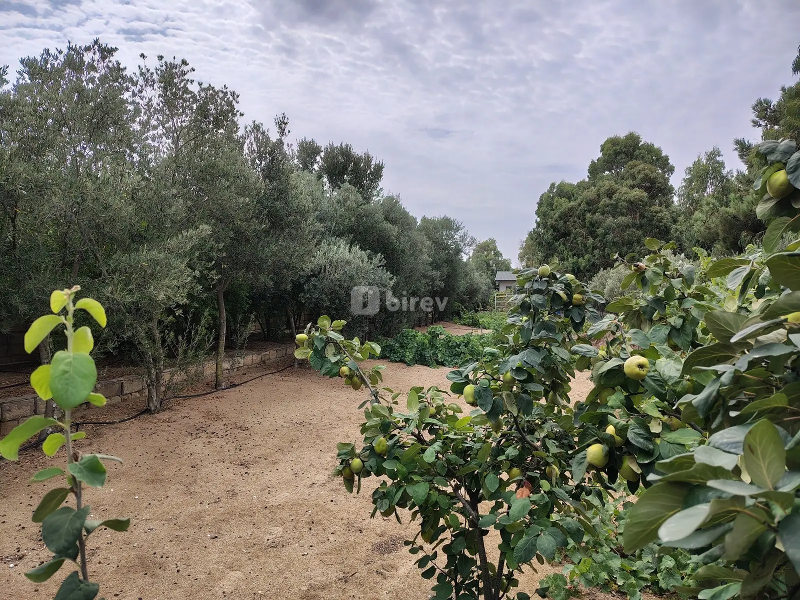 12 sot torpaq, Nardaran q., Nardaran qəsəbəsi, Sabunçu rayonu — şəkil 1