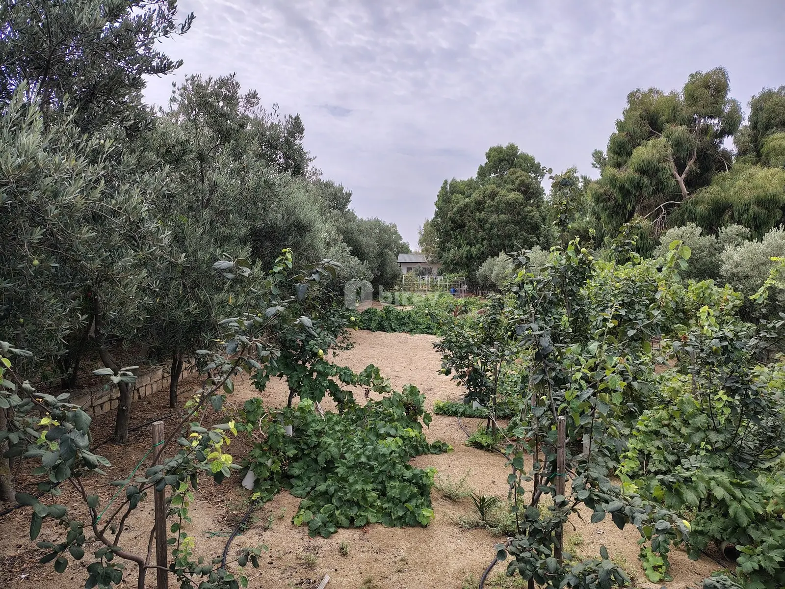 12 sot torpaq, Nardaran q., Nardaran qəsəbəsi, Sabunçu rayonu — şəkil 2