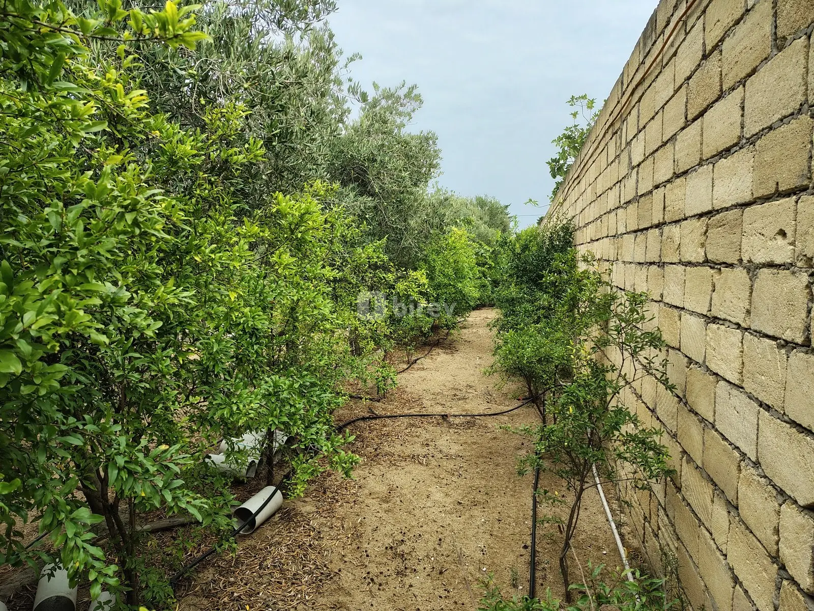 12 sot torpaq, Nardaran q., Nardaran qəsəbəsi, Sabunçu rayonu — şəkil 5