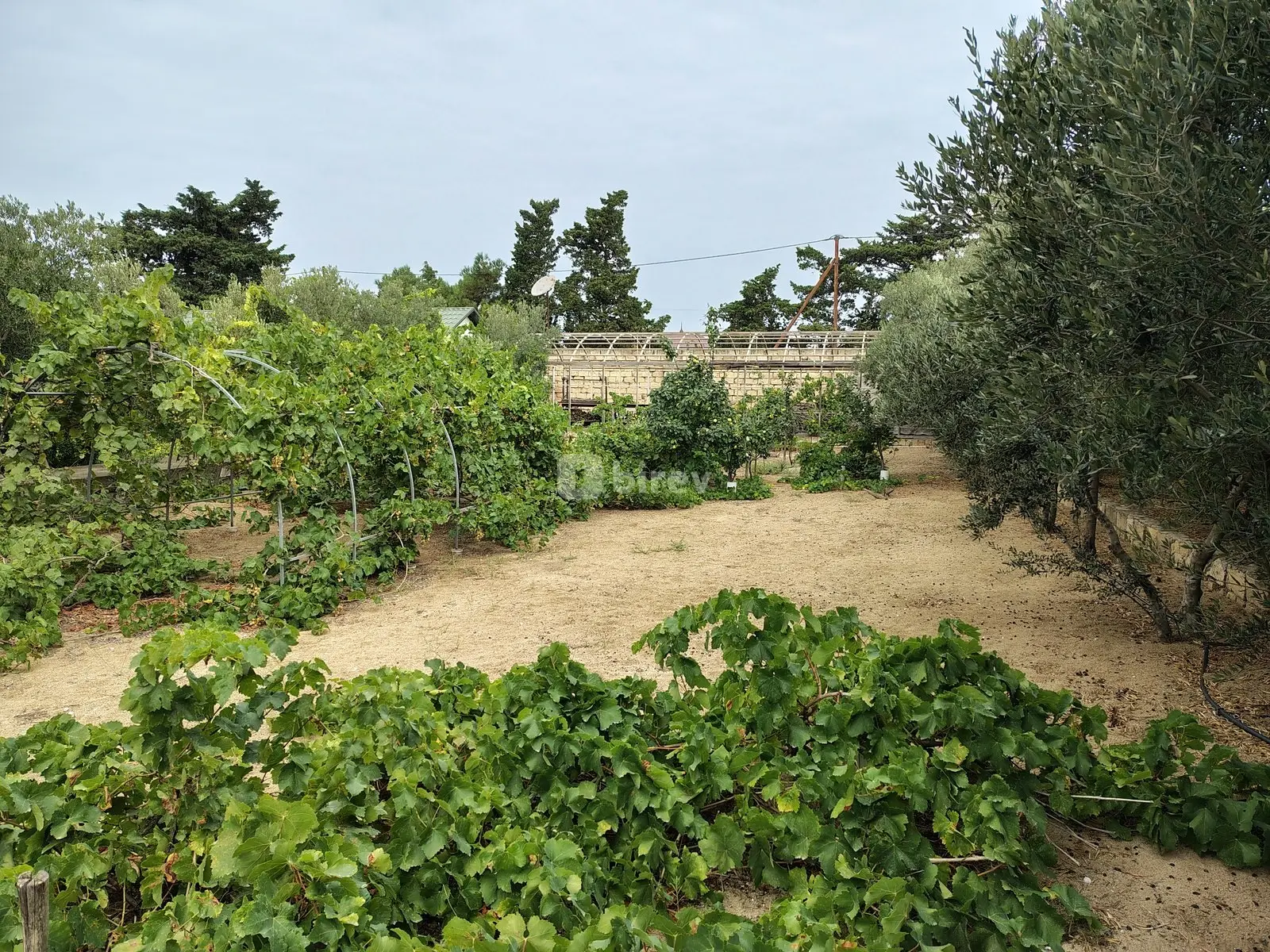 12 sot torpaq, Nardaran q., Nardaran qəsəbəsi, Sabunçu rayonu — şəkil 7
