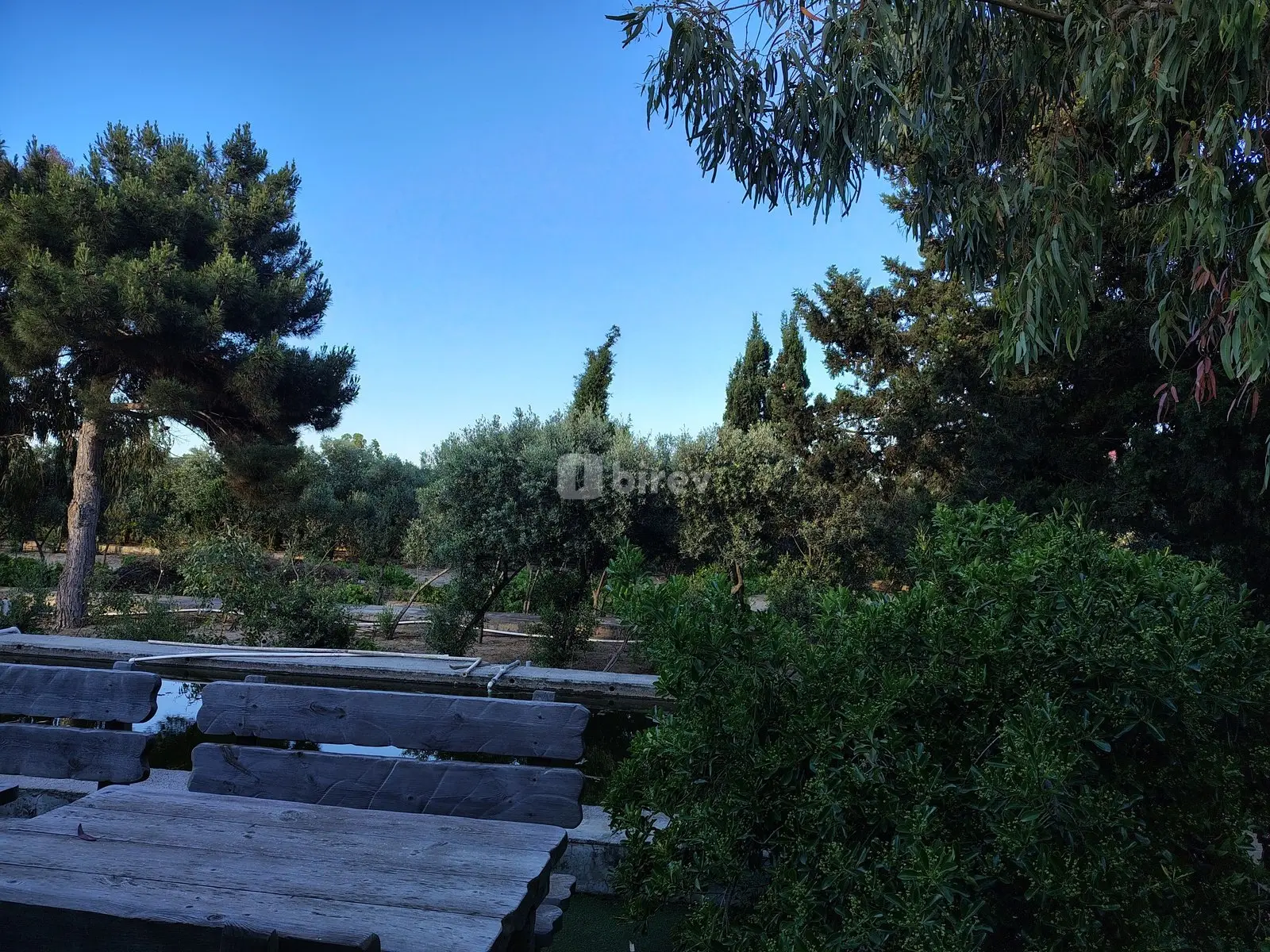 44 sot torpaq, Nardaran q., Mirvari Dilbazi küçəsi 1134, Sabunçu rayonu — şəkil 7