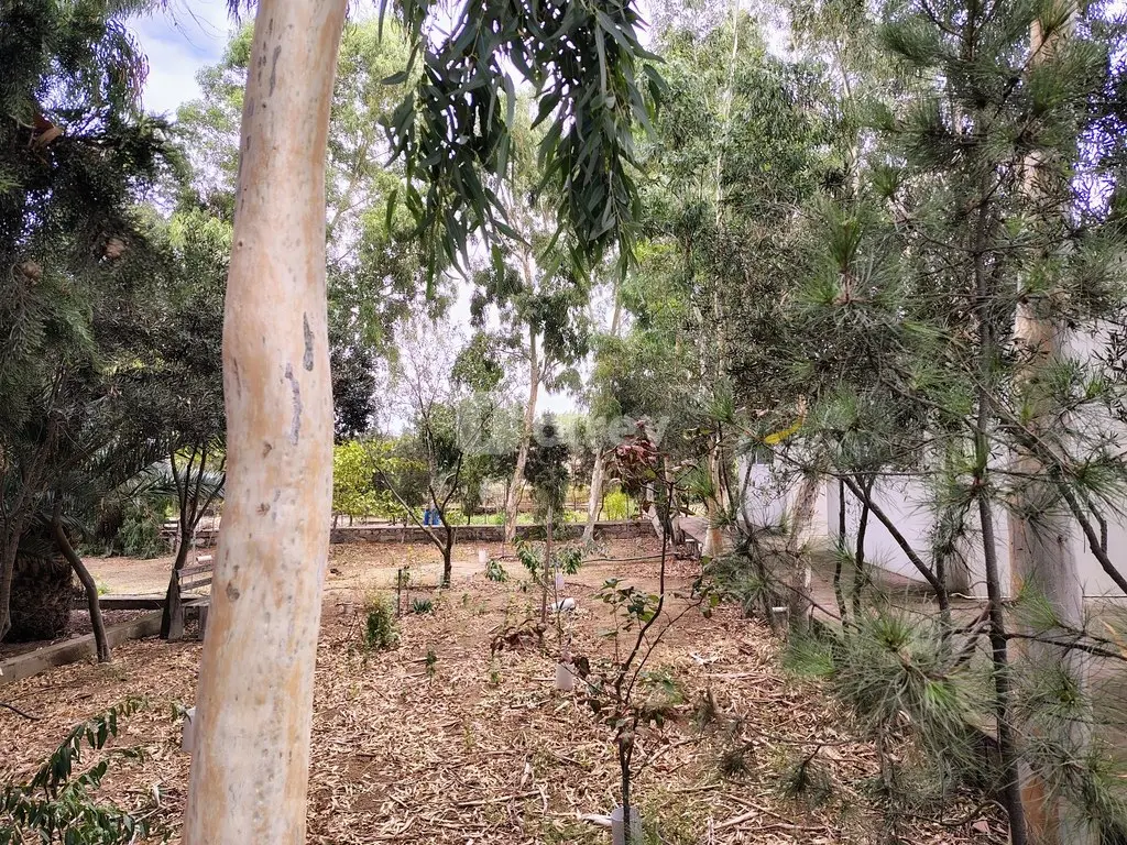 44 sot torpaq, Nardaran q., Mirvari Dilbazi küçəsi 1134, Sabunçu rayonu — şəkil 11