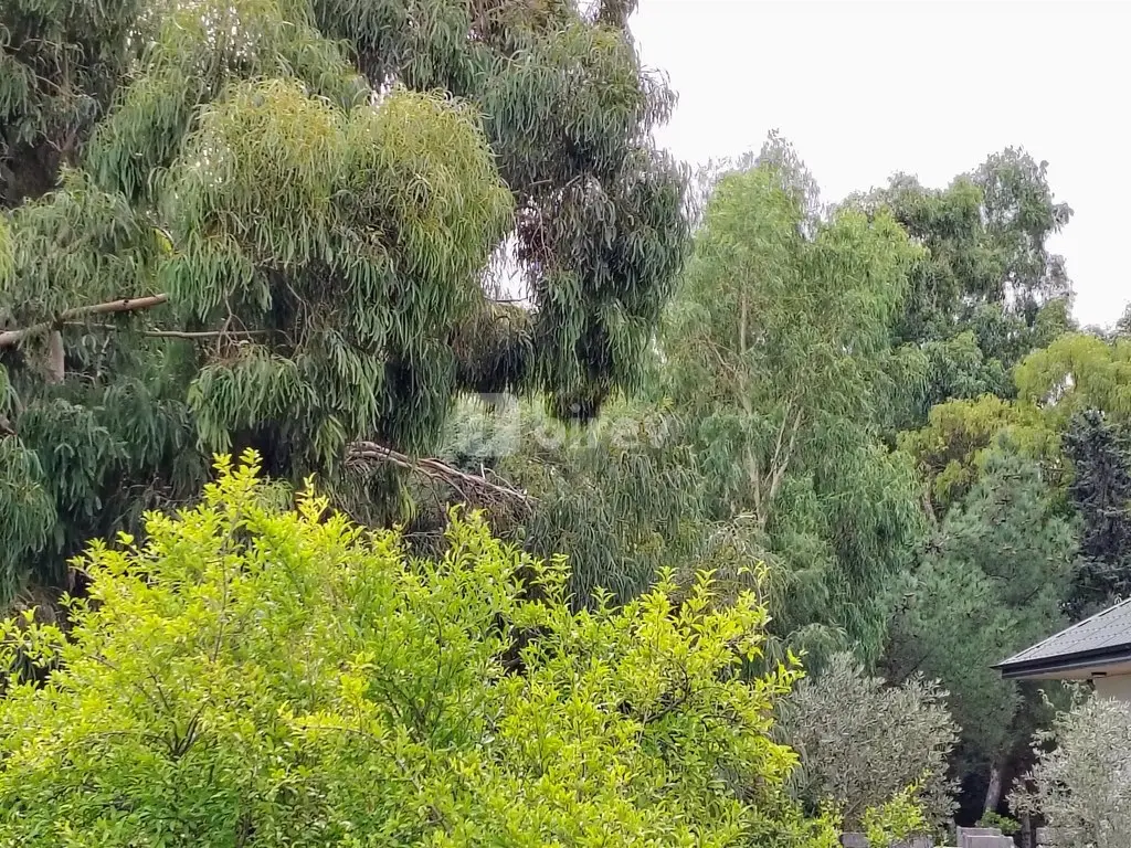 44 sot torpaq, Nardaran q., Mirvari Dilbazi küçəsi 1134, Sabunçu rayonu — şəkil 14