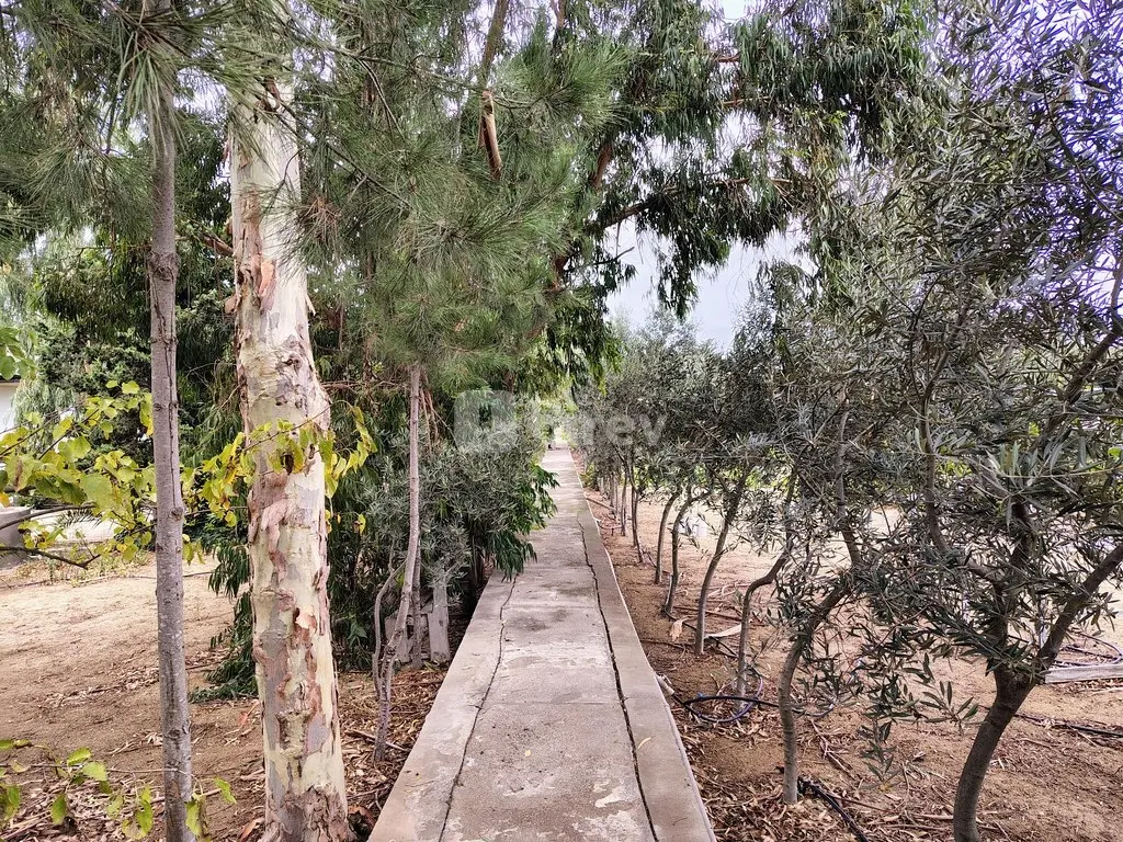 44 sot torpaq, Nardaran q., Mirvari Dilbazi küçəsi 1134, Sabunçu rayonu — şəkil 15