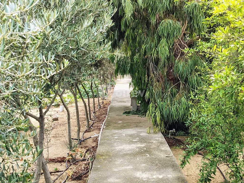 44 sot torpaq, Nardaran q., Mirvari Dilbazi küçəsi 1134, Sabunçu rayonu — şəkil 19