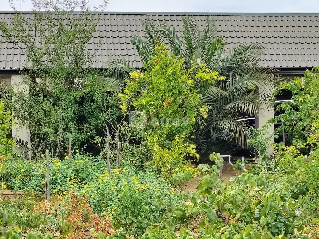 44 sot torpaq, Nardaran q., Mirvari Dilbazi küçəsi 1134, Sabunçu rayonu — şəkil 20