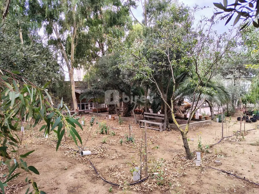 44 sot torpaq, Nardaran q., Mirvari Dilbazi küçəsi 1134, Sabunçu rayonu — şəkil 24