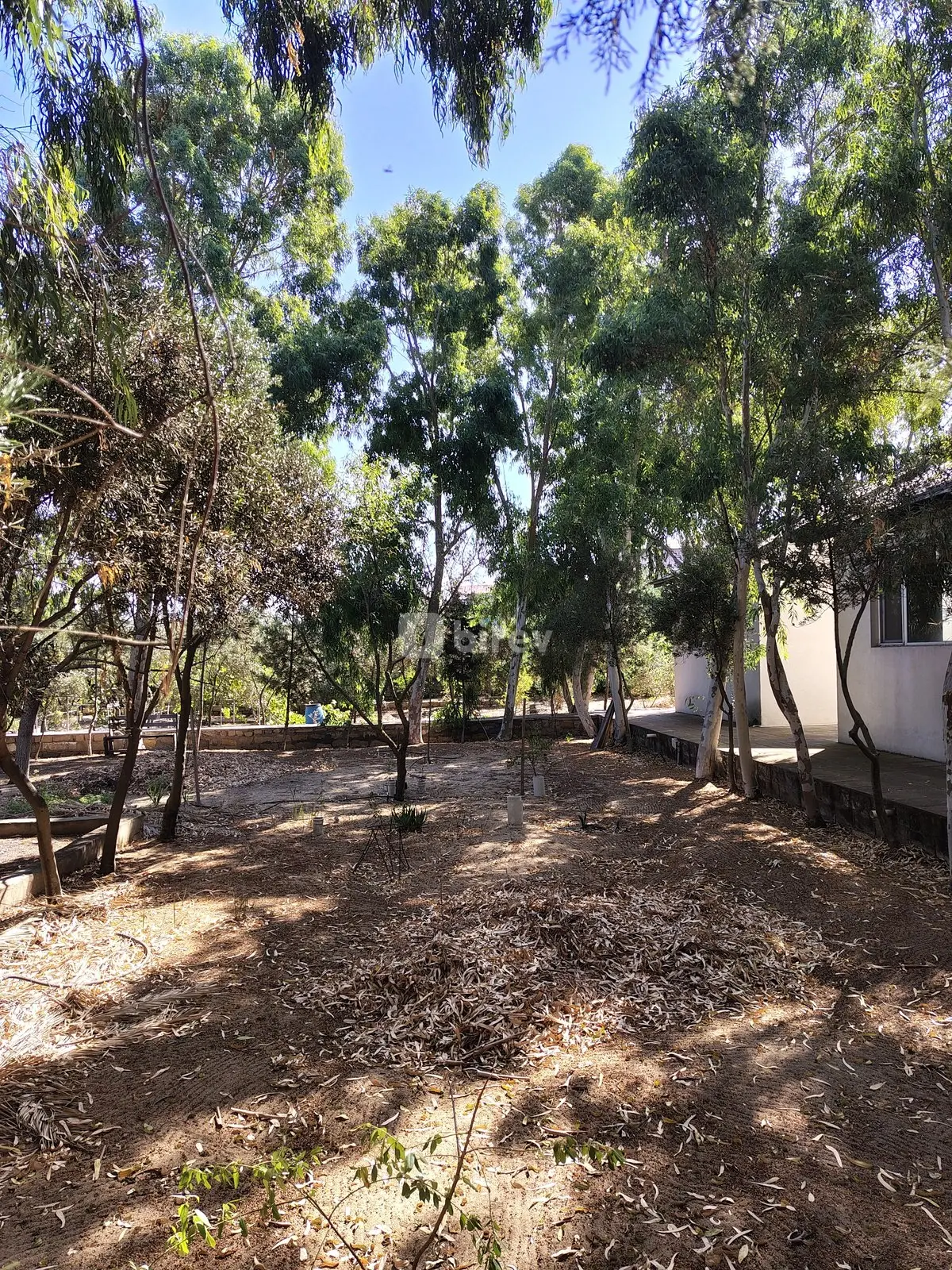 44 sot torpaq, Nardaran q., Mirvari Dilbazi küçəsi 1134, Sabunçu rayonu — şəkil 29