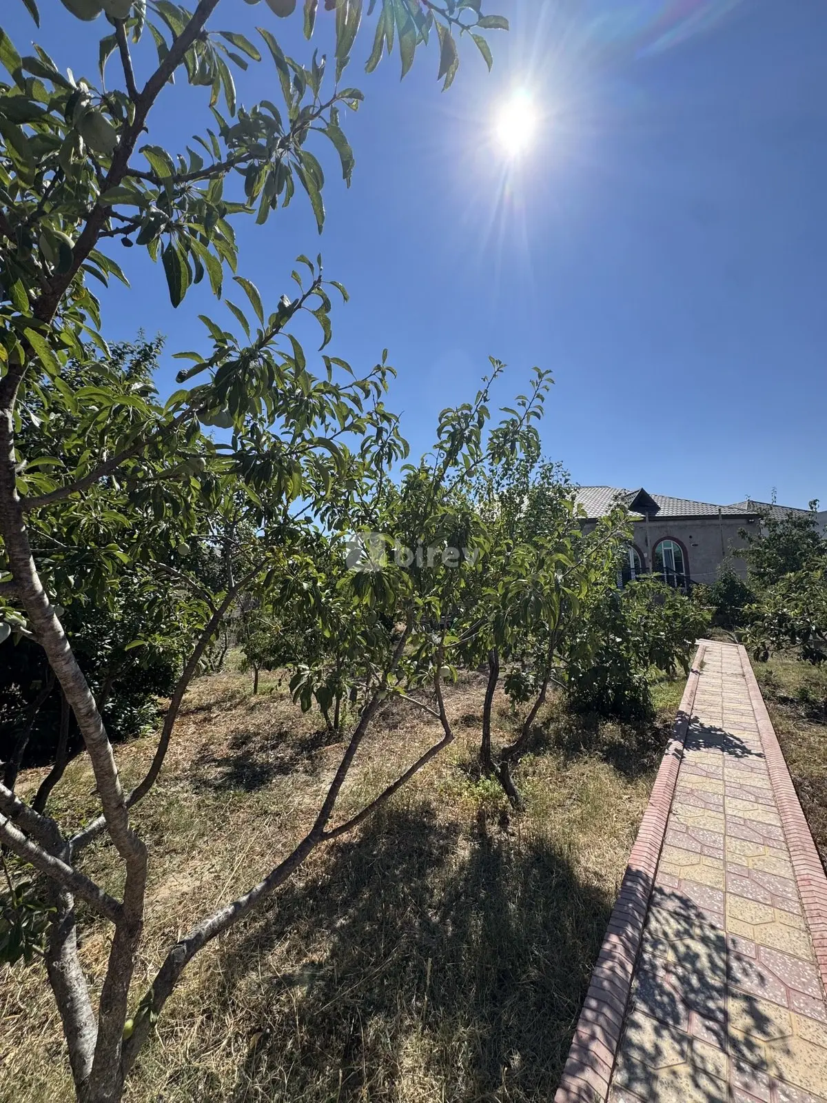 12 sot torpaq, Mərdəkan q., Mərdəkan qəsəbəsi, Xəzər rayonu — şəkil 6