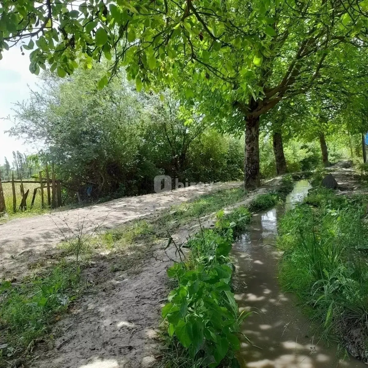 3 otaqlı həyət evi, Qusar rayonu, Qusar r. — şəkil 10