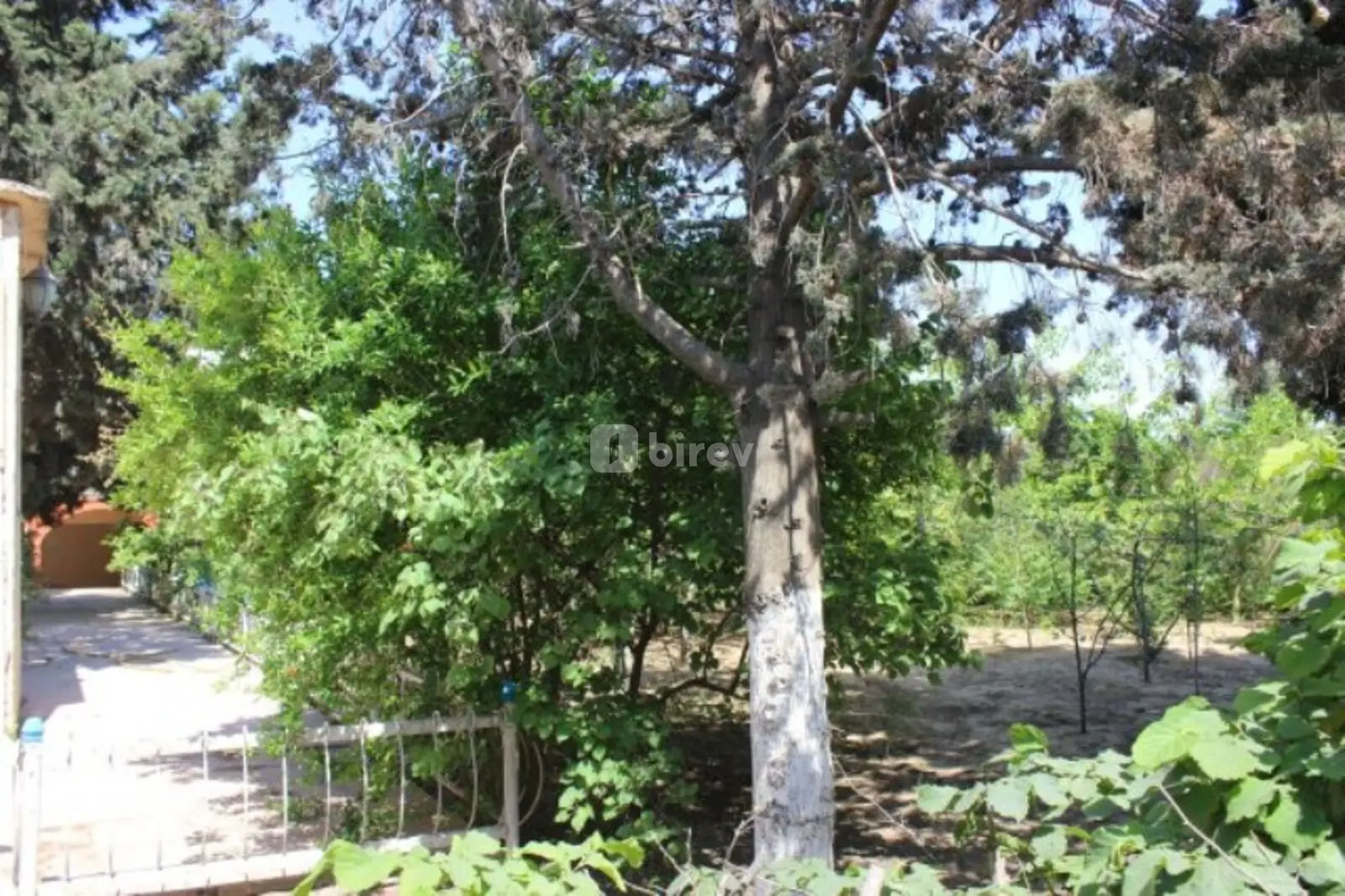6 otaqlı həyət evi, Maştağa q., Maştağa qəsəbəsi, Sabunçu rayonu — şəkil 5