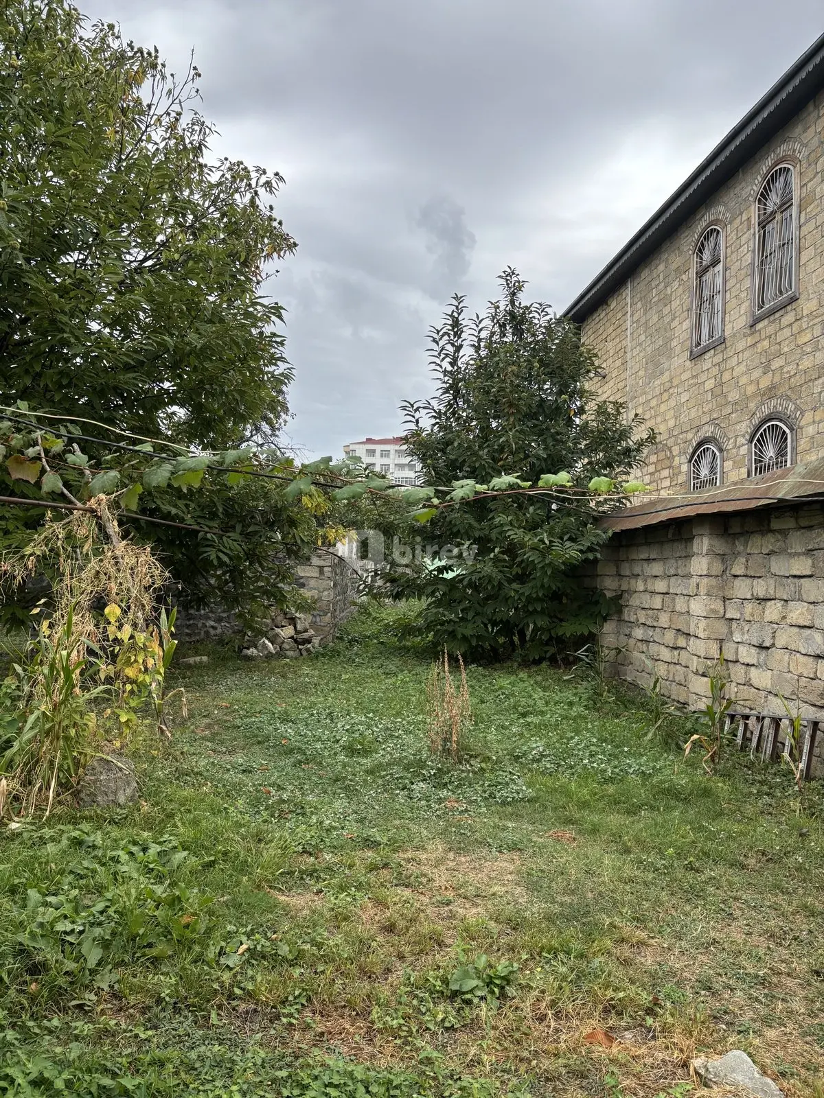 30 sot torpaq, Qəbələ rayonu, Qəbələ ş. — şəkil 1
