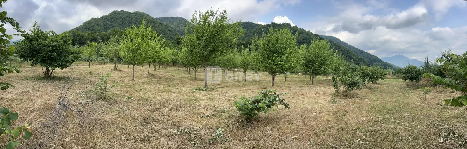 36 sot torpaq, İsmayıllı rayonu, Qalacıq kəndi — şəkil 1