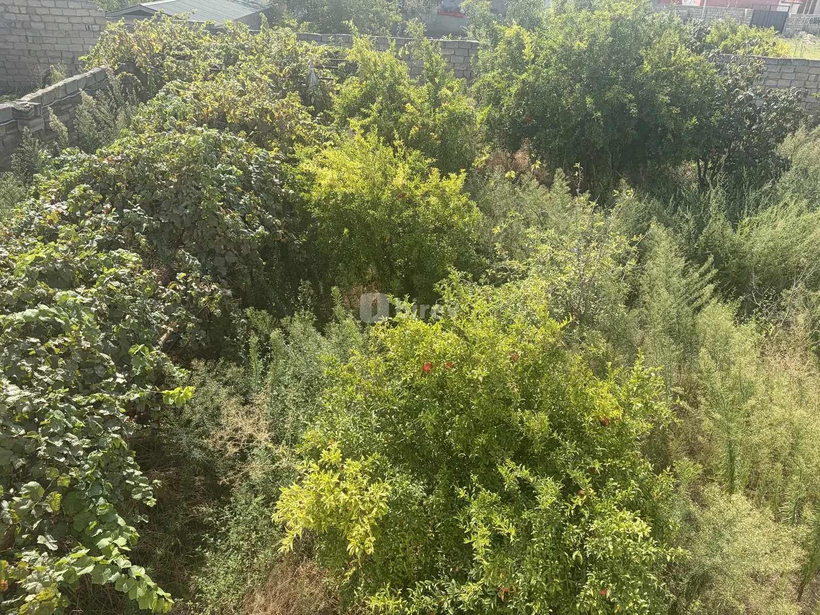 5 otaqlı həyət evi, Sea Breeze q., Nardaran qəs., Sabunçu rayonu — şəkil 3