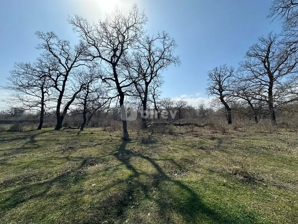 350 sot torpaq, Nabran, Nabran qəs., Xaçmaz rayonu — şəkil 9