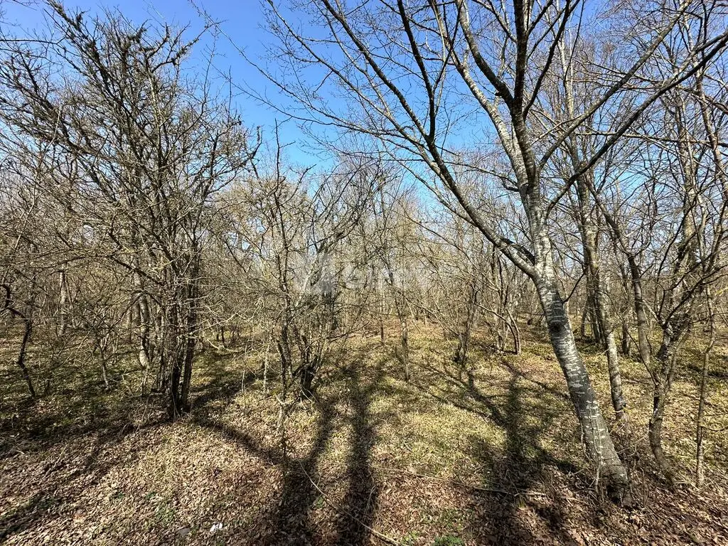 350 sot torpaq, Nabran, Nabran qəs., Xaçmaz rayonu — şəkil 10